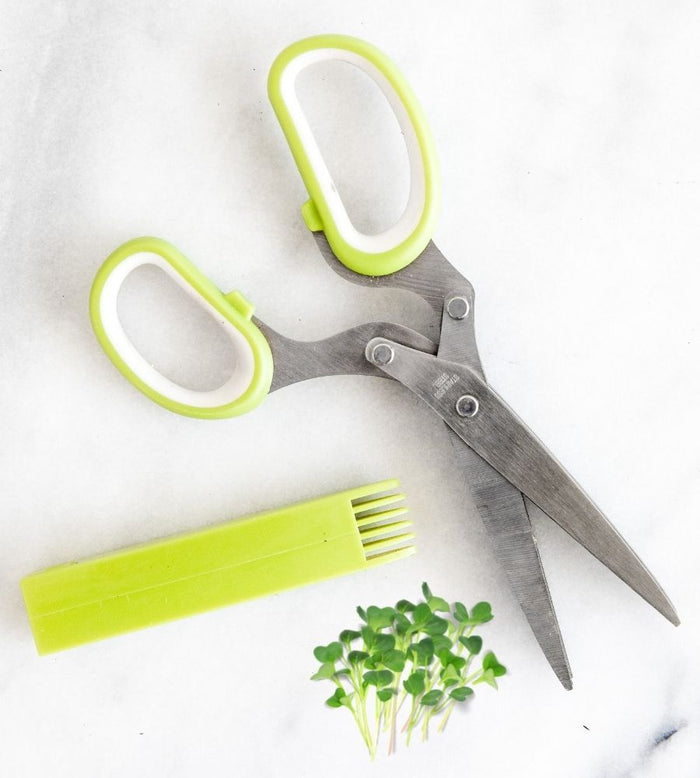 Indoor Microgreens Growing Kit with Mincing Scissors