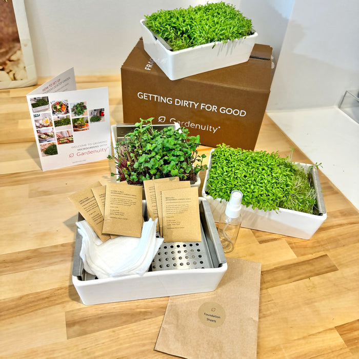 Indoor Microgreens Growing Kit with Mincing Scissors
