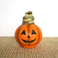 Jack-O-Lantern Waxed Amaryllis Collector's Bulb‎ with sovereign blooms