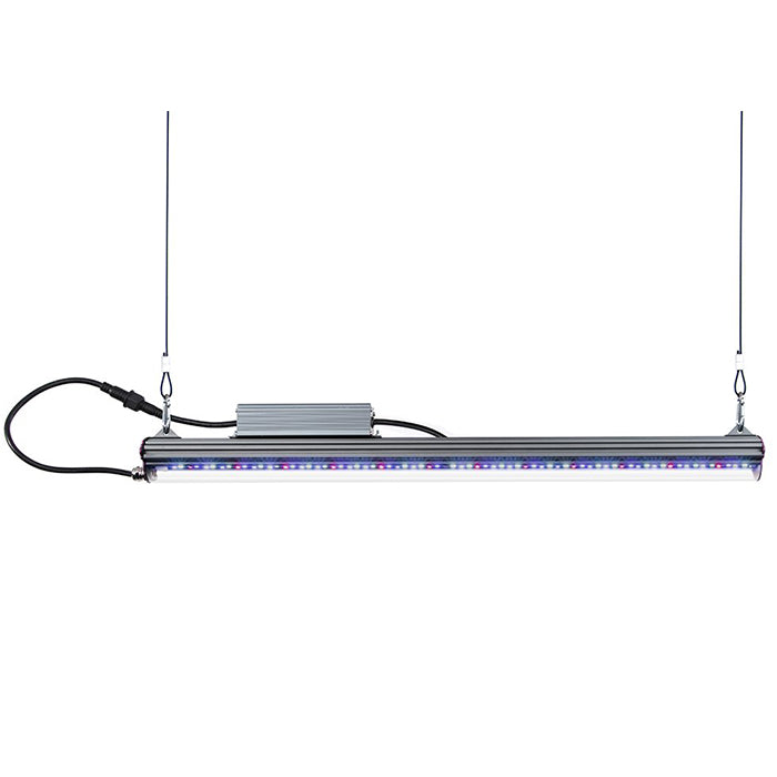 Kind LED X-Series X40 / X80 Bar Light