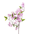 Lavender Wild Flower