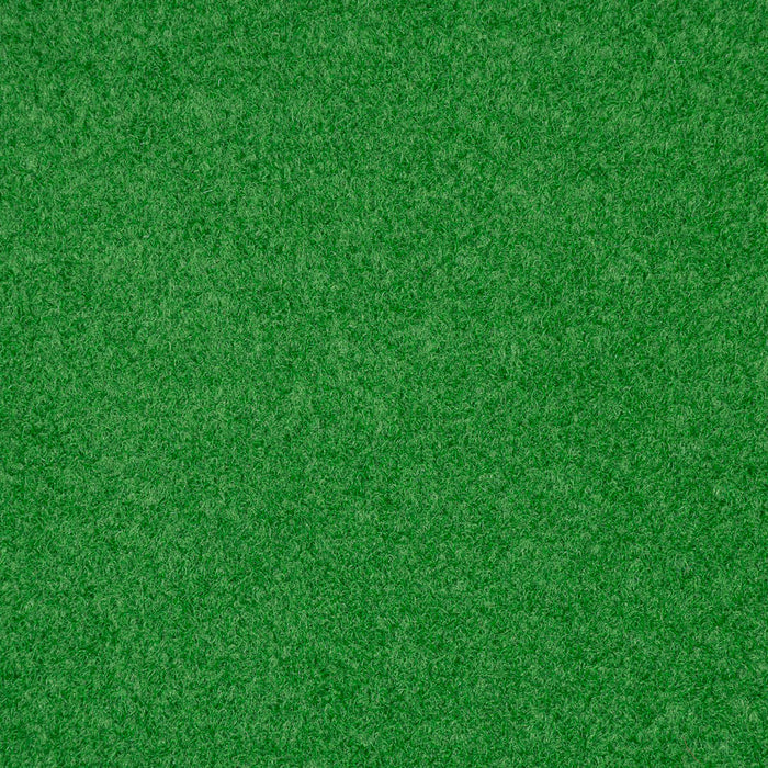 Light Green Outdoor Carpet