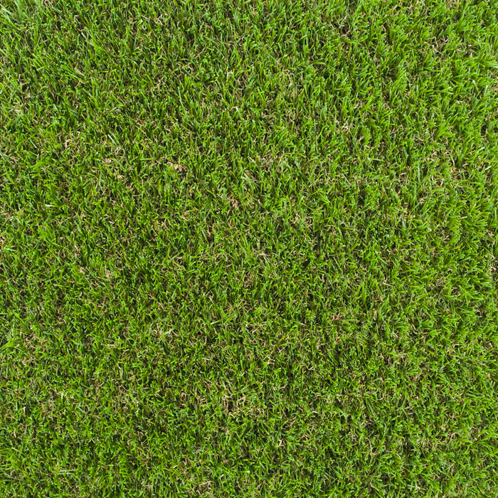 Limetree 32mm Artificial Grass