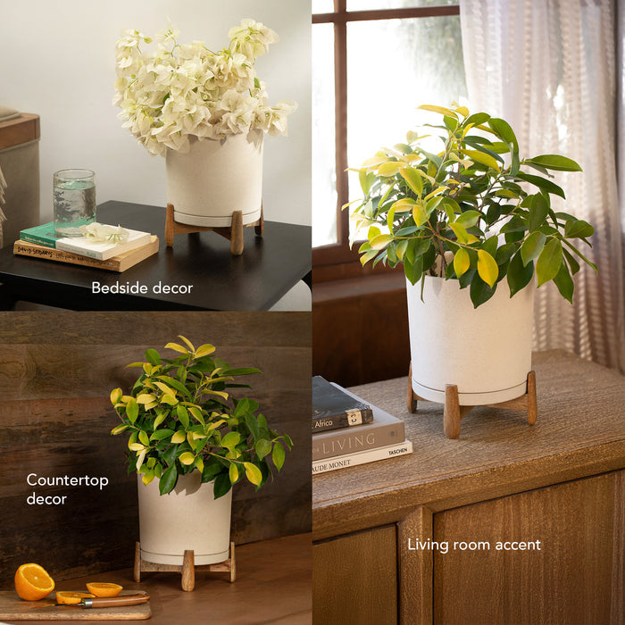 Ljo Ceramic Planter with Stand