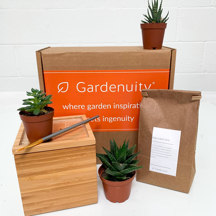 Loews Hotels - Succulent Desktop Garden in Custom Bamboo Planter