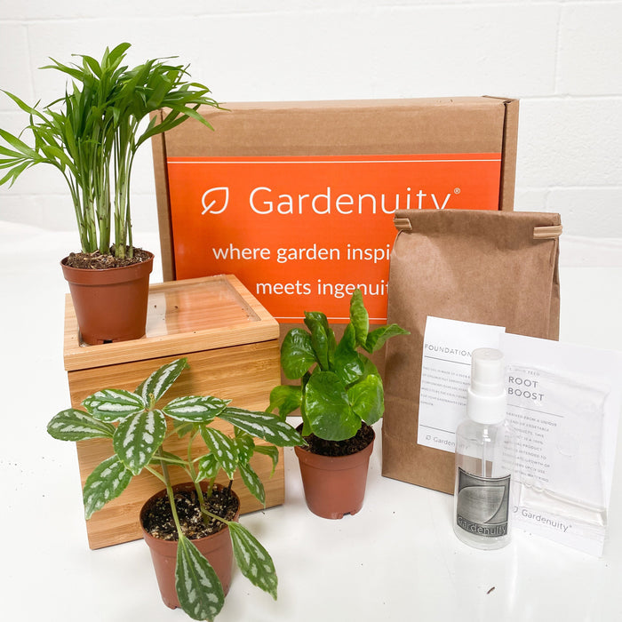 Loews Hotels - Tropical Desktop Garden in Custom Bamboo Planter