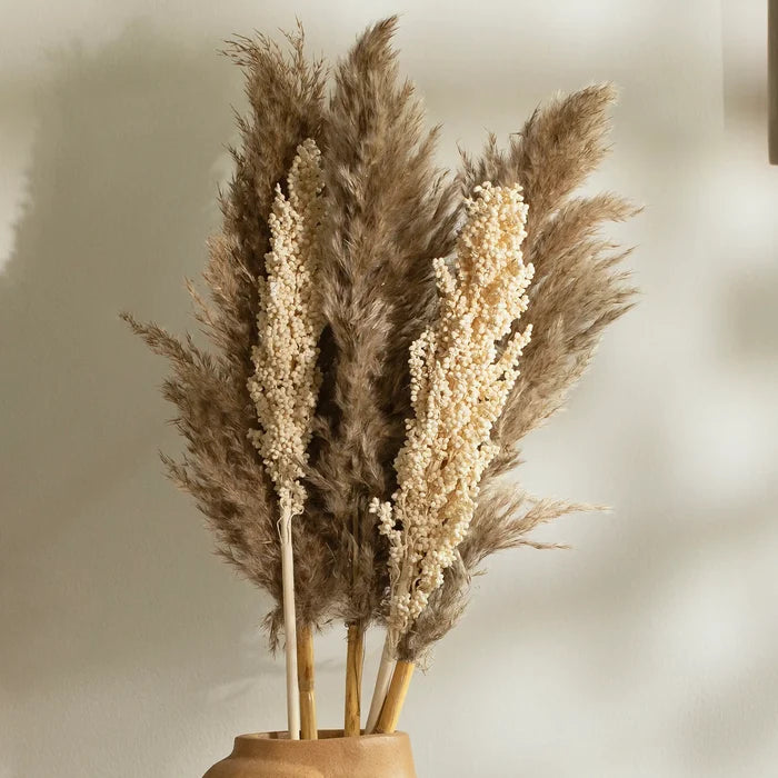 Malar pampas & sorghum stem bundle