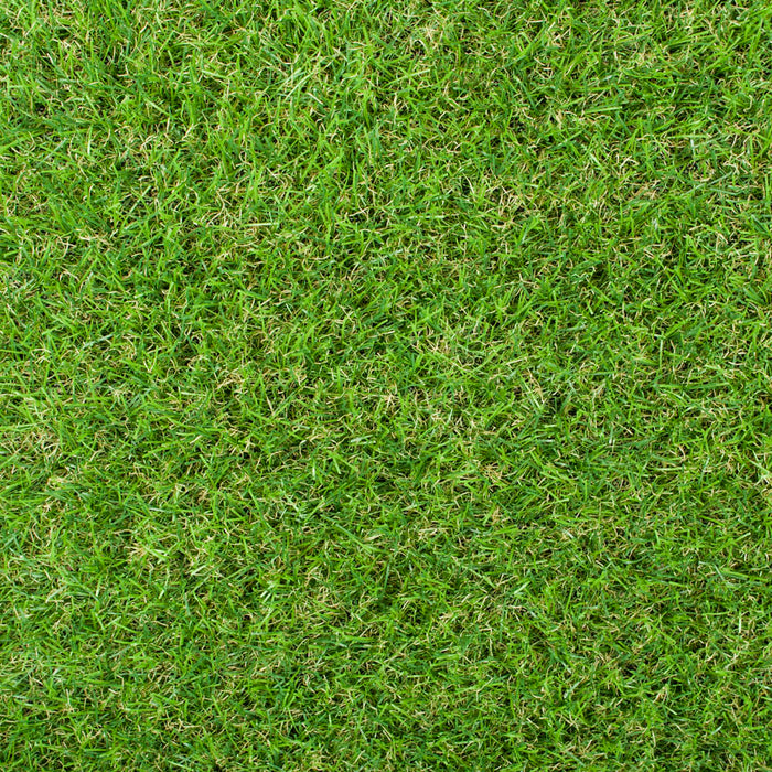 Maplespring 30mm Artificial Grass