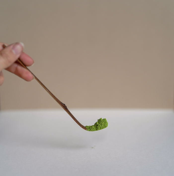 Matcha Scoop