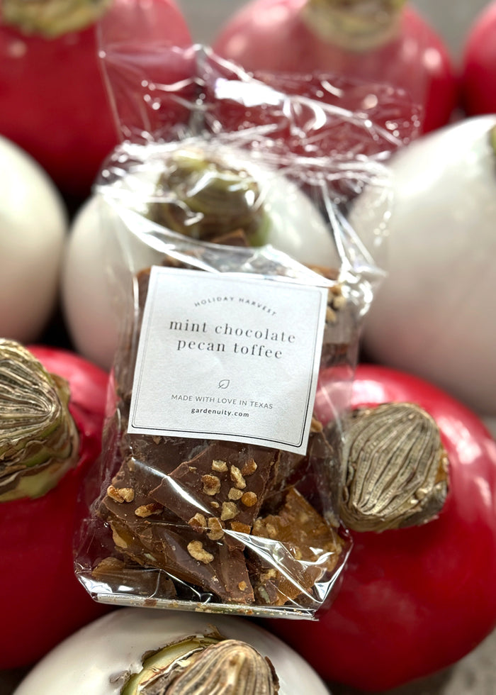 Mint Chocolate Pecan Toffee