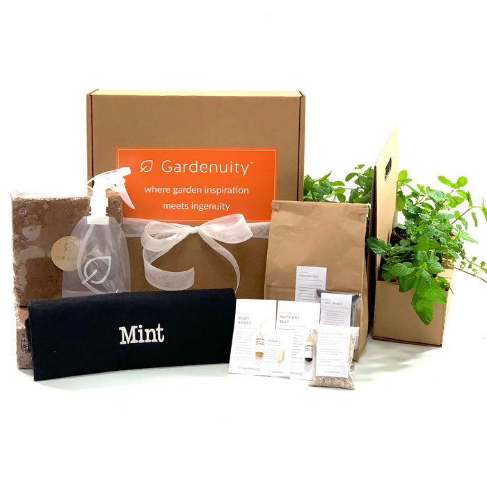 Mint Garden Gift Set‎ with mint chocolate pecan toffee