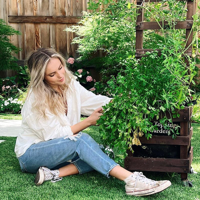 girl with taco toppings garden in caddy and trellis