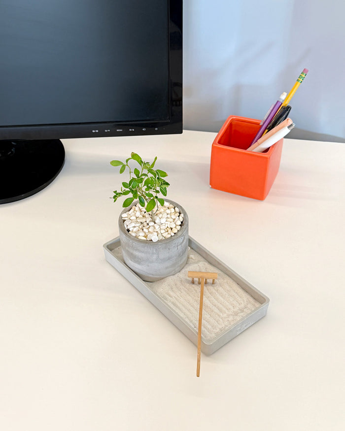 Modern Zen Desktop Garden ‎with mini bonsai plant