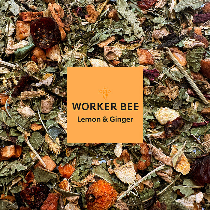 New - Lemon and Ginger Infusion - Biodegradable Tea Bags (100)