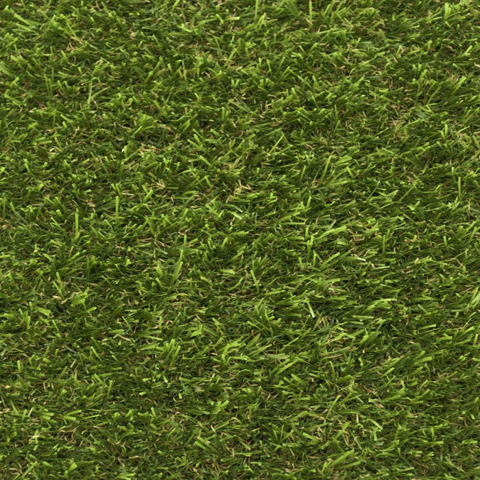 New Cargo Artificial Grass