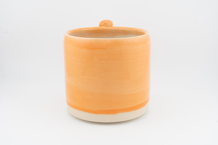 Orange Beer Stein