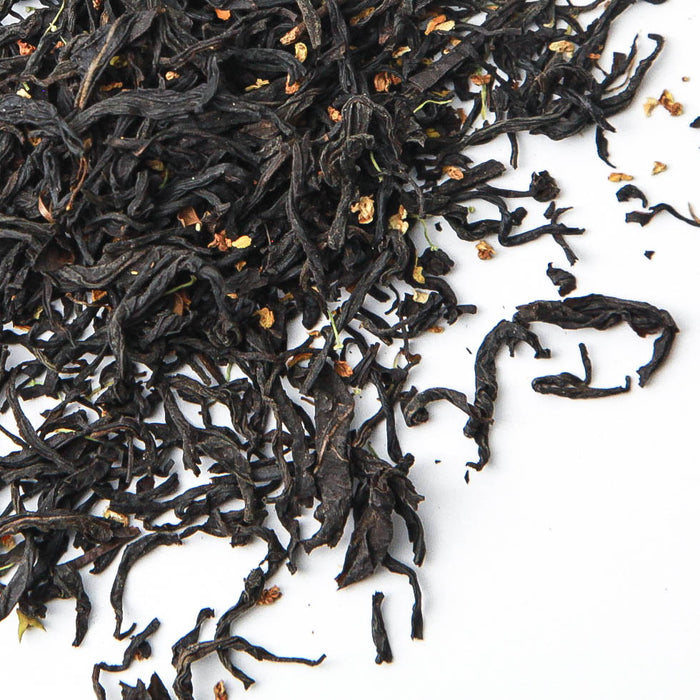 Osmanthus Black