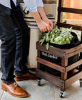 Outdoor Herb Garden Kit