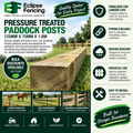 Paddock Posts 5 x 3, 125mm x 75mm x 1.8m – Pressure Treated Timber Fence Posts-Eclipse Fencing