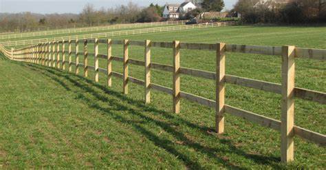 Paddock Posts 5 x 3, 125mm x 75mm x 1.8m – Pressure Treated Timber Fence Posts-Eclipse Fencing