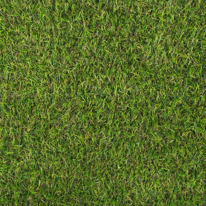 Parkdale 20mm Artificial Grass mid