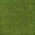 4m