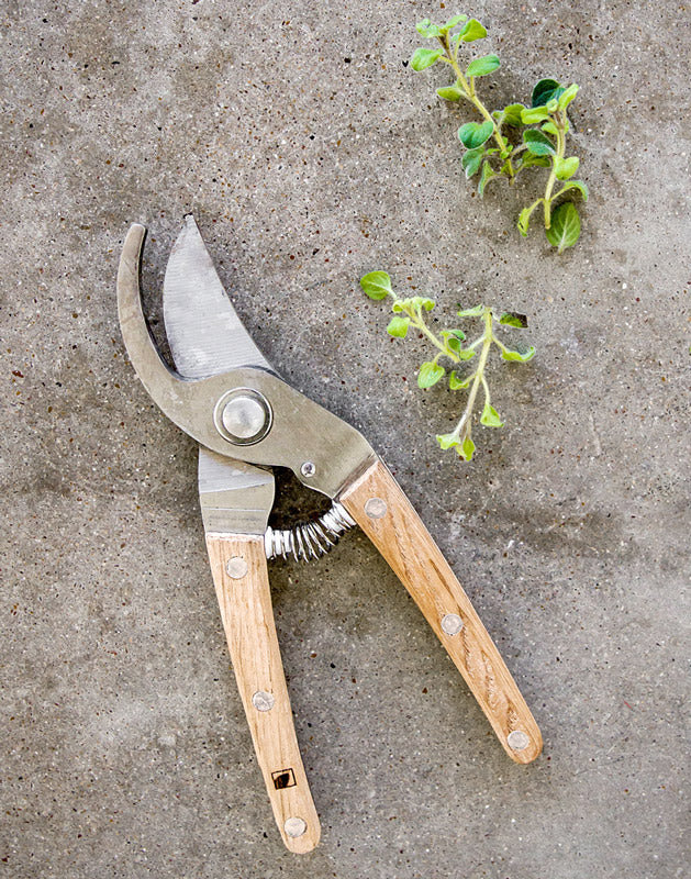 Passport Garden Gift Set with Pruners