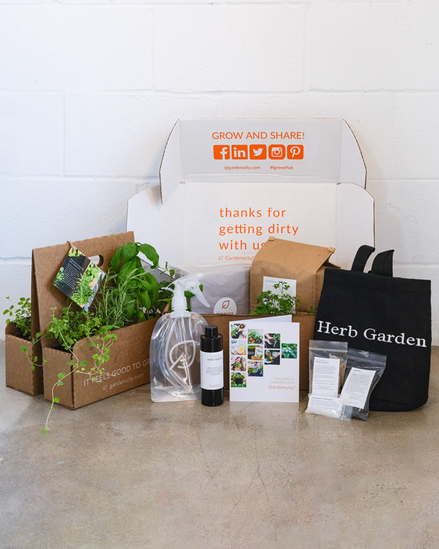 Patio Herb Garden Kit