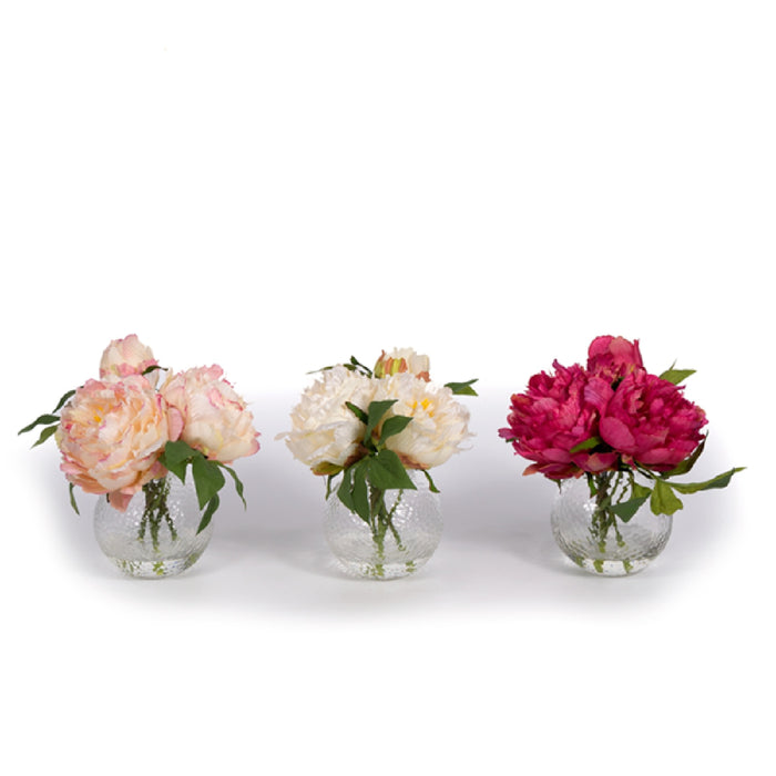 Peony in Glass Vase