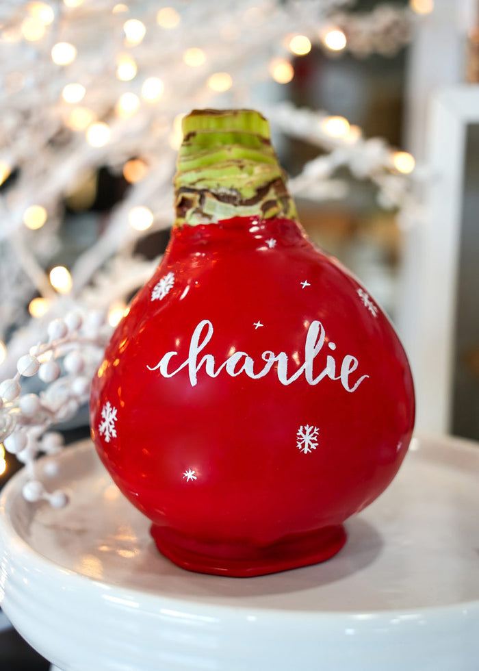 Personalized Holiday Red Waxed Amaryllis Bulb‎ with bright white blooms