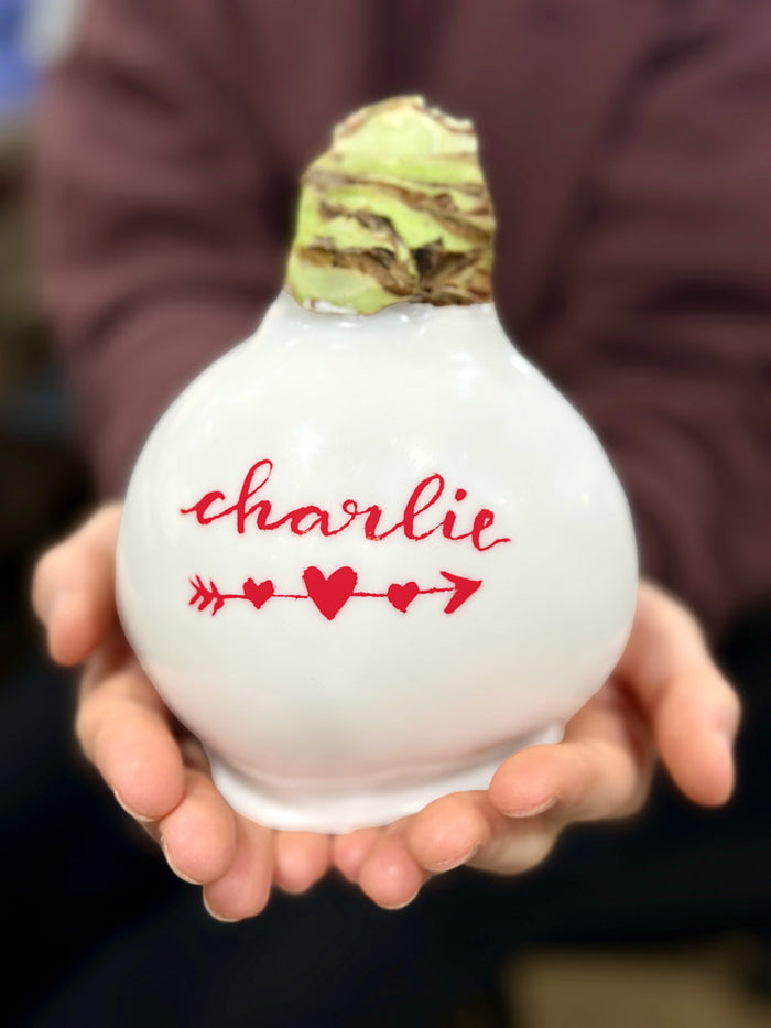Personalized Valentine Waxed Amaryllis Bulb‎ with bold red blooms