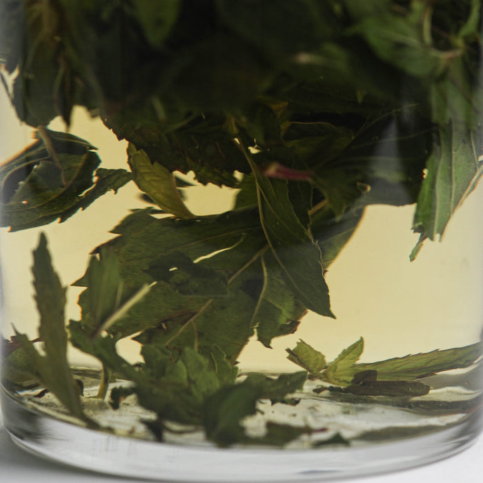 Peruvian Peppermint