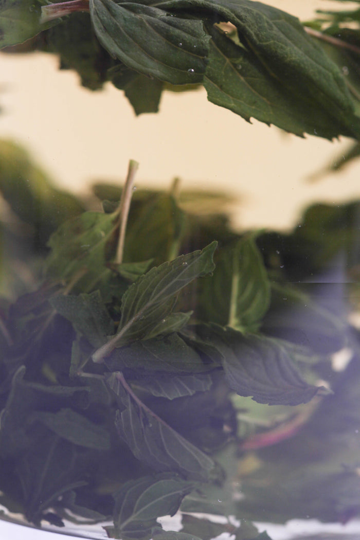 Peruvian Peppermint