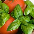 Pizza Garden Plant Collection