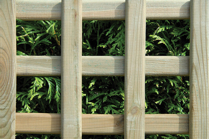 Planed Square Trellis – Smooth, Stylish & Built for Versatility-Eclipse Fencing