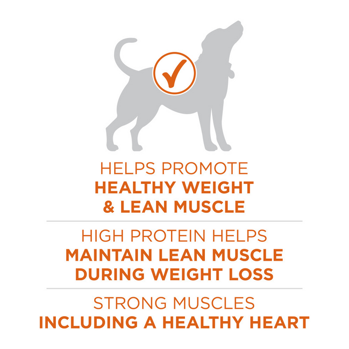 Purina One SmartBlend Healthy Weight Turkey Dry Dog Food