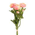 Ranunculus Bundle, Pink