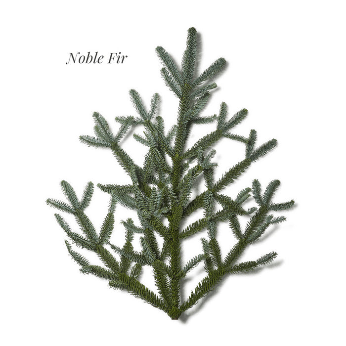 Real Noble Fir Holiday Wreath, 24"