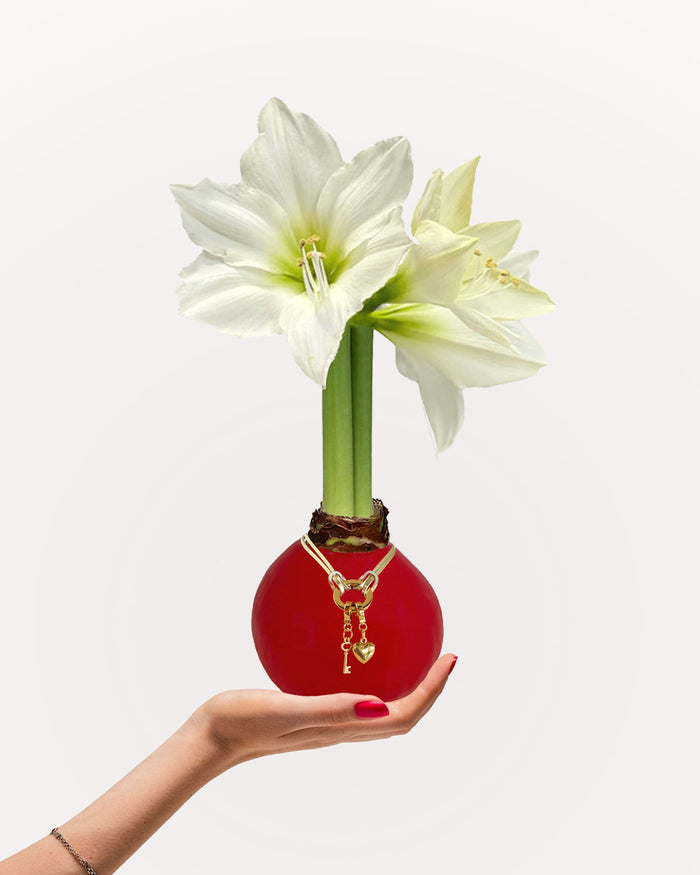 Red Waxed Bulb & Charm Bracelet Gift Set‎