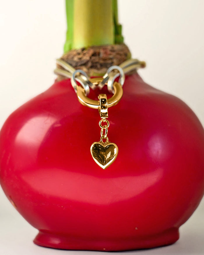 Red Waxed Bulb & Charm Bracelet Gift Set‎