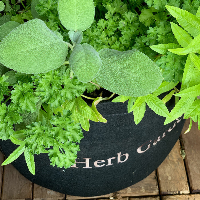 Root Rage™ Herb Serum ‎Weekly Plant Nutrients