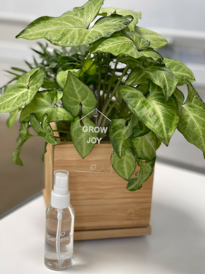 Root Rage™ Tropical Serum ‎Monthly Plant Nutrients