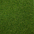 Cleveland 27 Artificial Grass