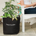 Salad Garden Kit‎ with tomato + herb plants