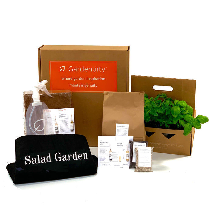Salad Garden Kit‎ with tomato + herb plants