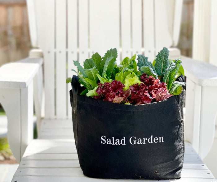Salad Giftable Garden