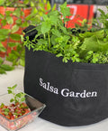Salsa Garden Kit‎ with pepper, tomato, + herbs