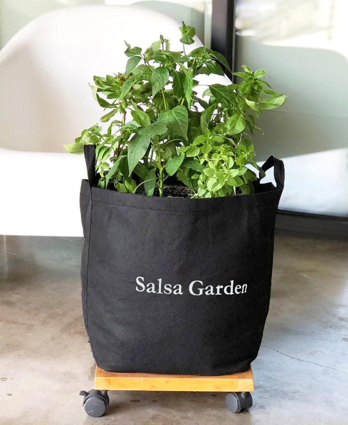 Salsa Garden Kit‎ with pepper, tomato, + herbs