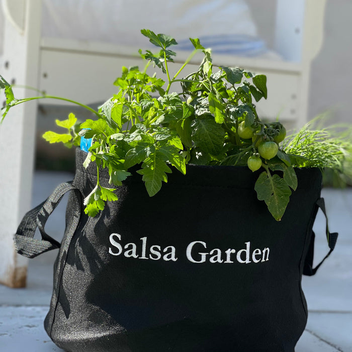 Salsa Garden Kit‎ with pepper, tomato, + herbs