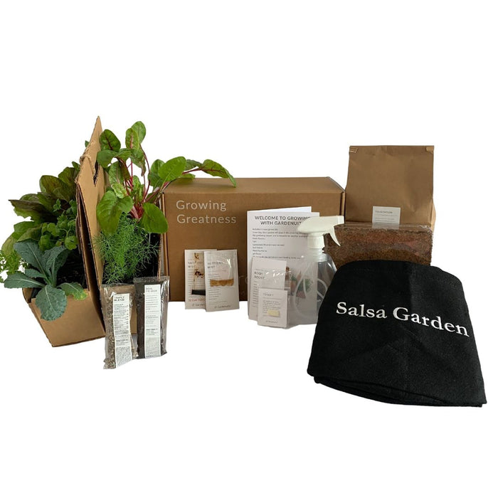 Salsa Garden Kit‎ with pepper, tomato, + herbs